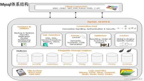 数据库技术入门 基础、MySQL架构、SQL分类、使用与存储引擎全解析